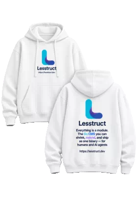 Lesstruct Hoodie